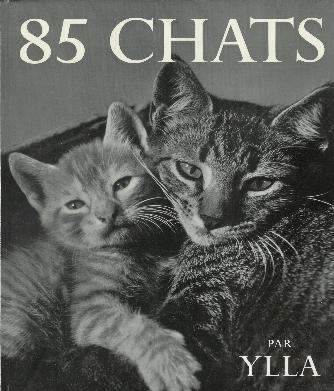 85枚の猫